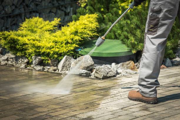 Best Solar Panel Cleaning  in Wollochet, WA