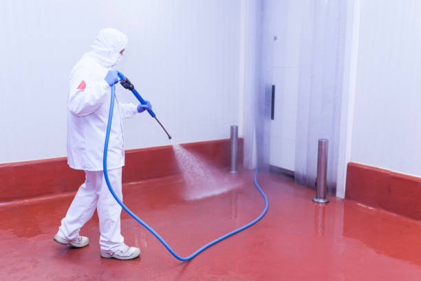 Best Pre-Holiday Cleaning  in Wollochet, WA