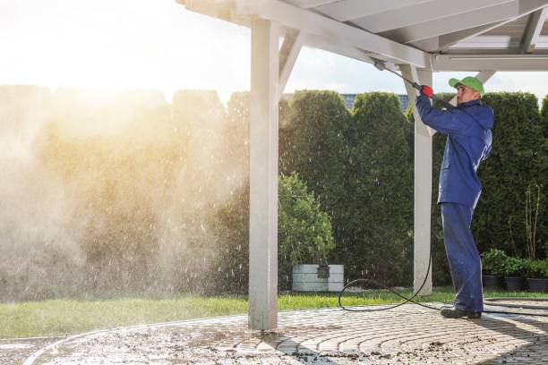 Best Roof Washing  in Wollochet, WA